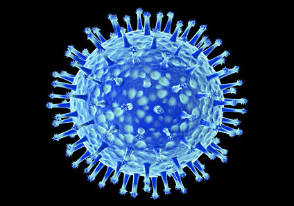 20100811104032-virus-gripe.jpg