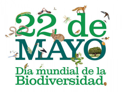 20140522131320-dia-biodiversidad.png