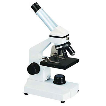 20071204185731-microscopio-escolar-bs-23.jpg