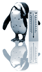 20100320001801-pinguino.gif