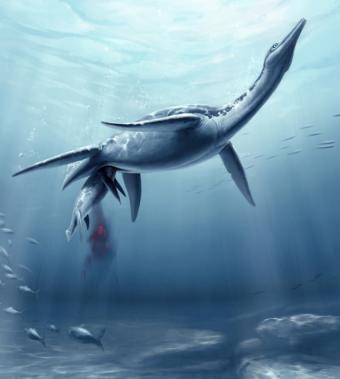 20110821105331-primer-plesiosaurio-embarazado.jpg