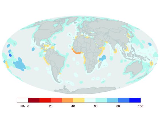 20120816112635-avaliacion-global-dos-oceanos.jpg