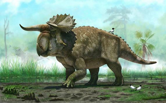 20130718201359-nasutoceratops-titusi-splash-.jpg