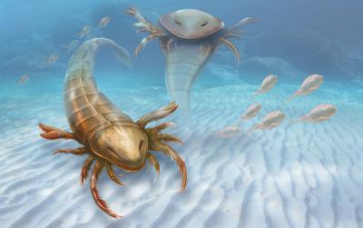 20150903093225-descubren-un-escorpion-marino-gigante-image-380.jpg