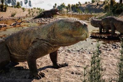 Descobren no Brasil un r&eacute;ptil de 230 mill&oacute;ns de anos cun trazo &uacute;nico que obriga a reformular como evolucionaron os herb&iacute;voros antes dos dinosauros