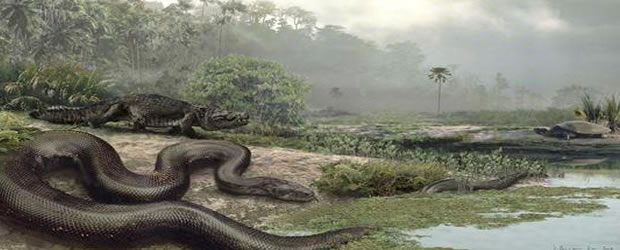 Recreación de la serpiente ’Titanoboa Cerrejonensis’