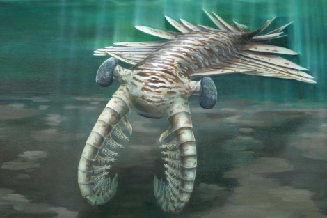 Recreación del cazador ’Anomalocaris’, de hace 500 millones de años. | ’Nature’